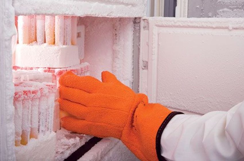  The Importance of Having a Refrigerator in the Laboratory