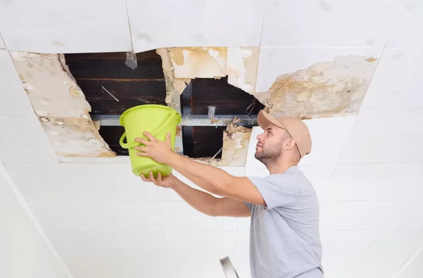  Should You Do Water Damage Cleanup Yourself Or Hire a Professional?