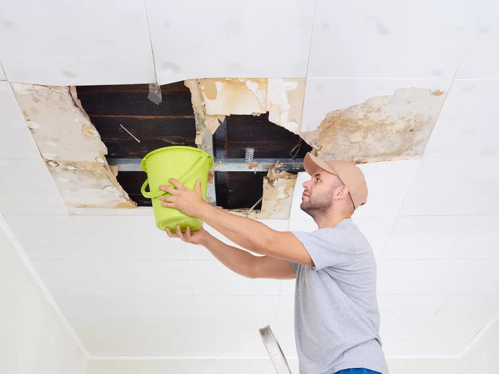 Should You Do Water Damage Cleanup Yourself Or Hire a Professional?