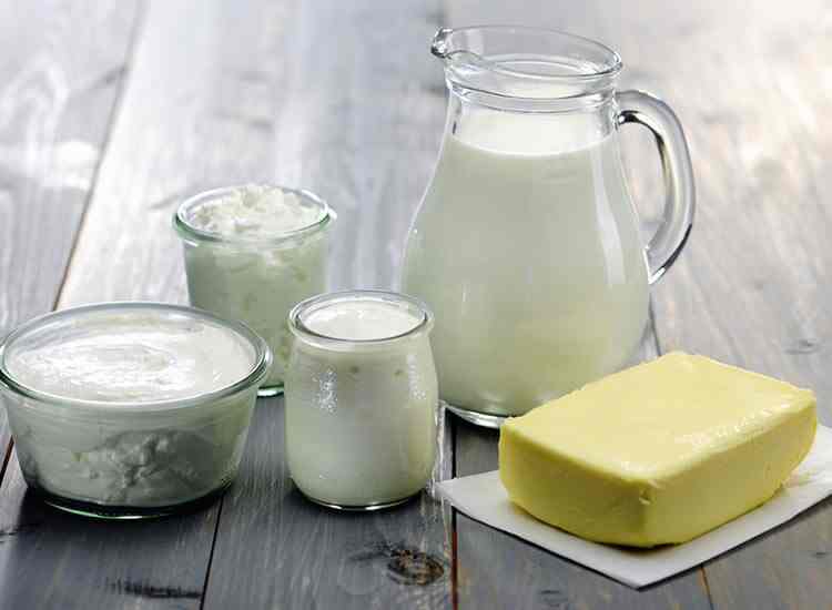 The Dairy Delight: Discover High-Quality Products from Our Supplier