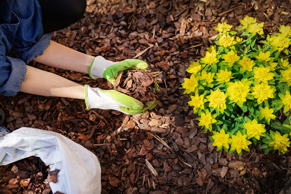 cleveland bulk mulch delivery
